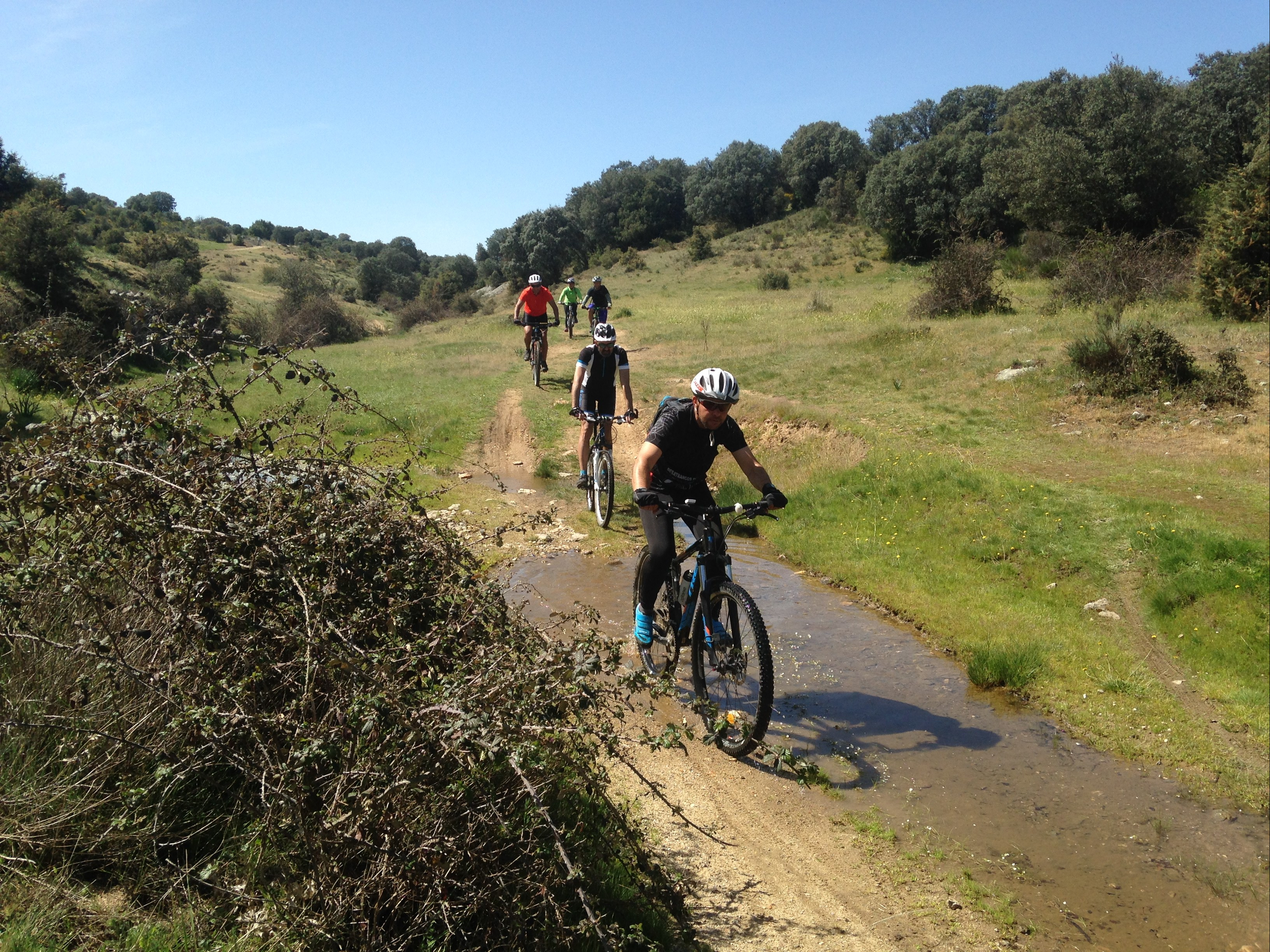 Foto 23-4-17 12 25 01