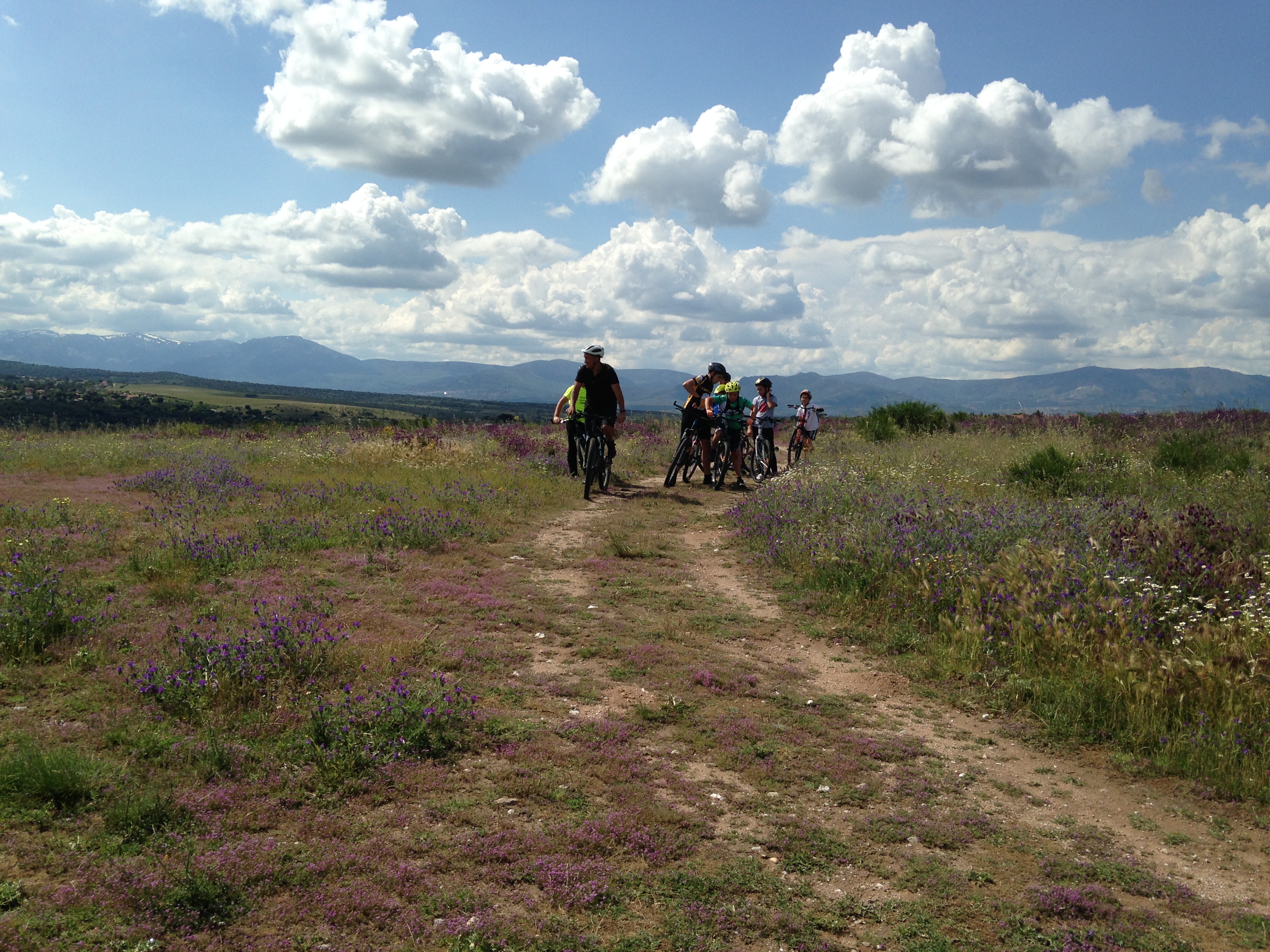 Foto 2-6-18 17 01 06