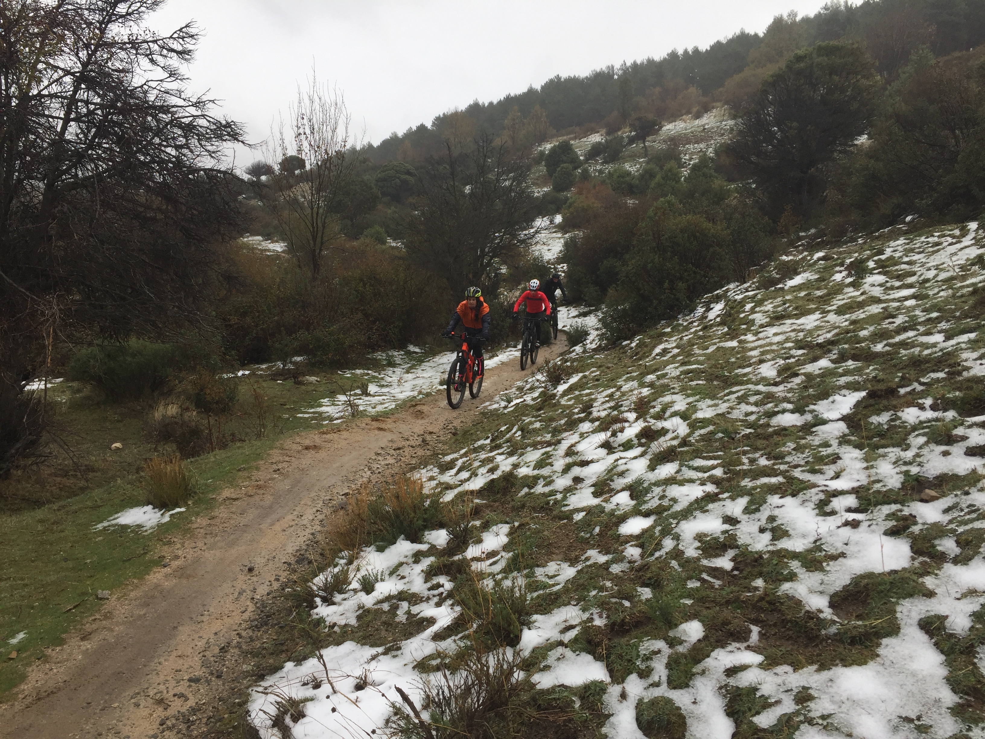 Foto 17-11-19 10 09 50