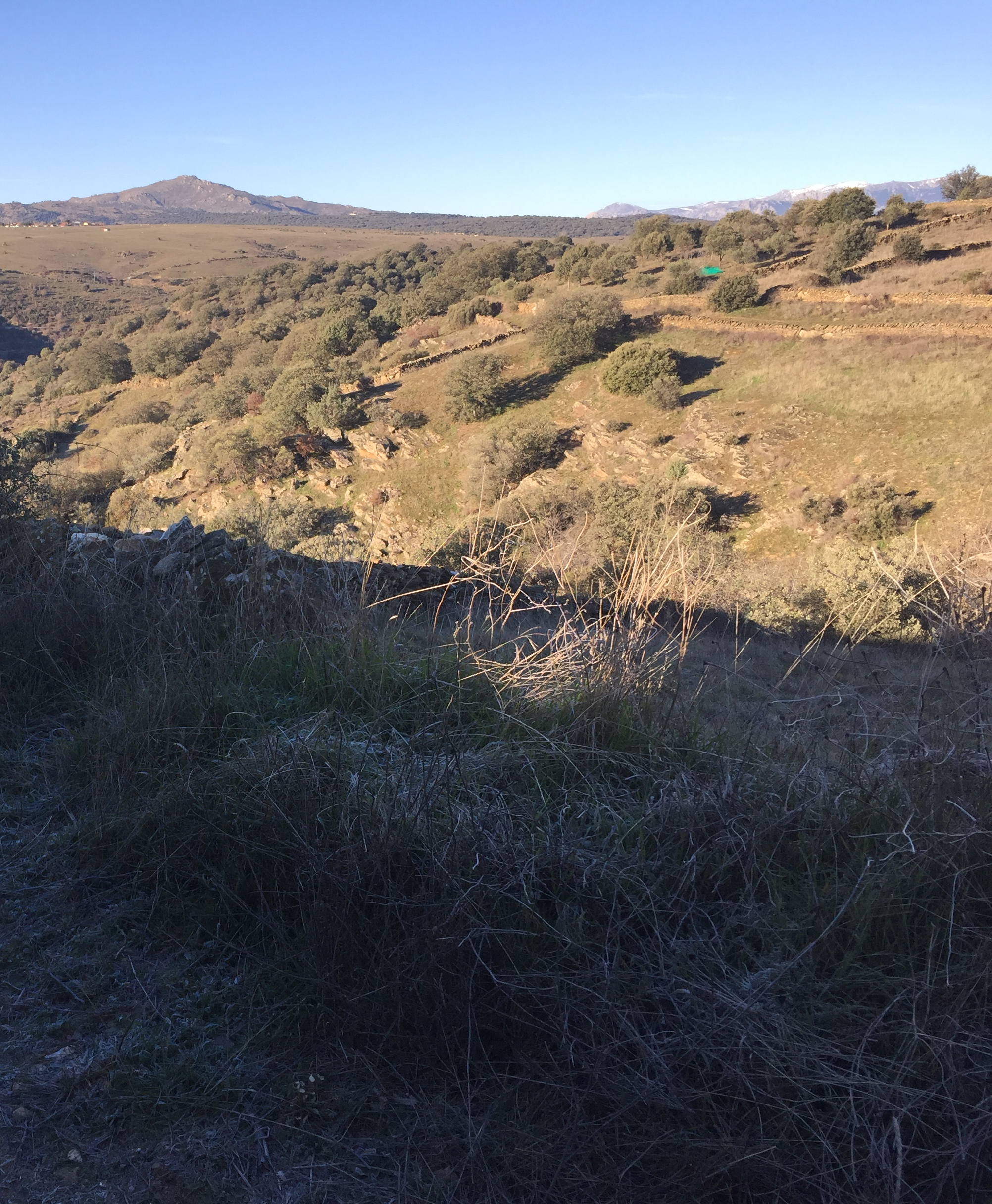 Foto 30-12-19 10 06 16